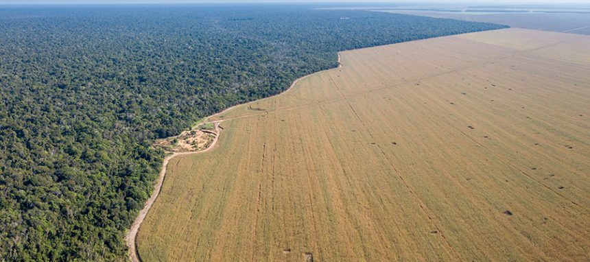 Cinco mentiras que contaram para você sobre o agronegócio - DefesaNet