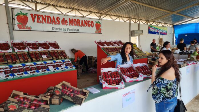 Brazlândia receberá cerca de 500 mil pessoas na Festa do Morango - Portal  Lago Sul