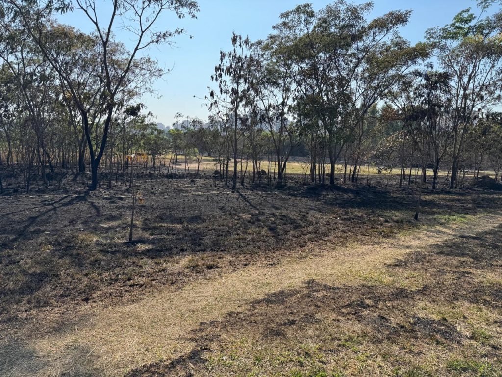 Parque de Águas Claras após incêndio. Foto: Brasília Capital