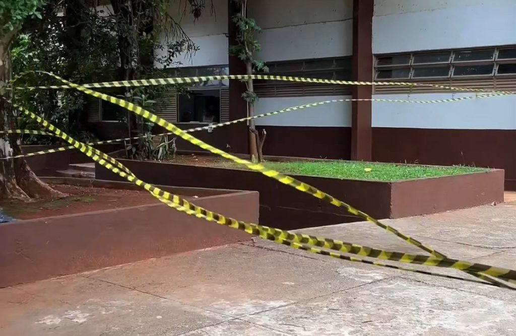 Enxame no CEMEIT, em Taguatinga. Foto: Brasília Capital