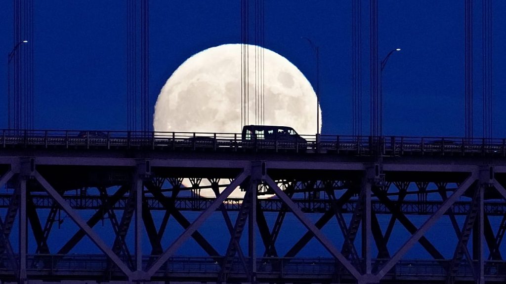 Reprodução Redes Sociais