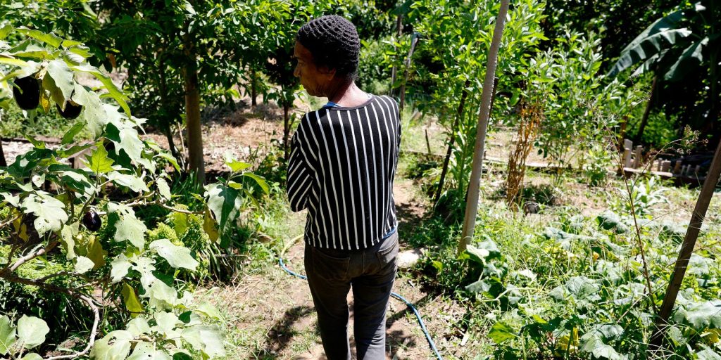 © Tânia Rêgo/Agência Brasil